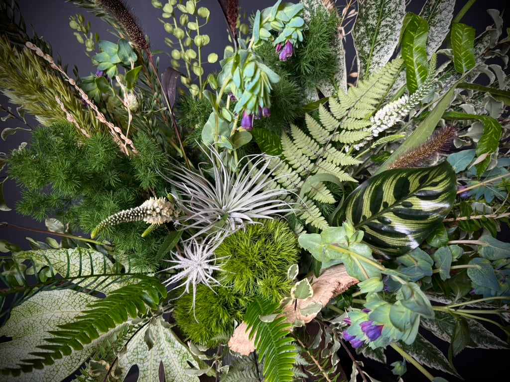 The NATURALIST ~Abundant~