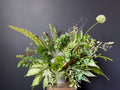 The NATURALIST ~Abundant~