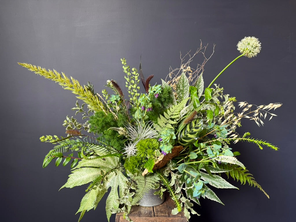 The NATURALIST ~Abundant~