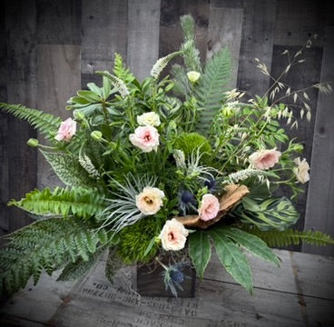 The NATURALIST ~Classic~