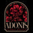 Adonis Floral Design - Home